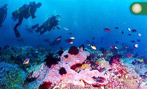 Puerto Galera, other areas declared unsafe for .